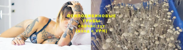 прущие крисы Пестово