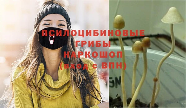 экстази Переславль-Залесский