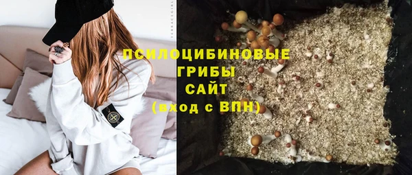 спайс Пересвет