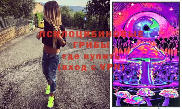 шишки Дмитровск