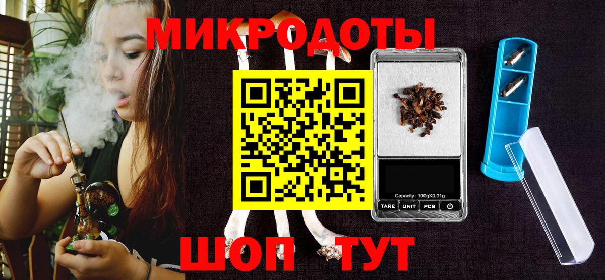 Псилоцибиновые грибы Psilocybine cubensis Баксан