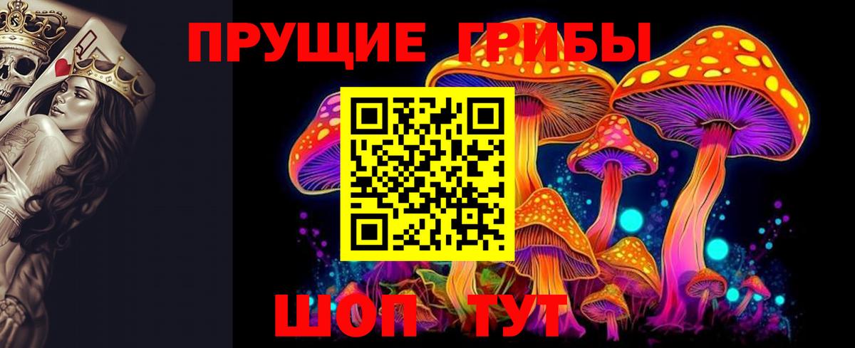 Псилоцибиновые грибы GOLDEN TEACHER Баксан