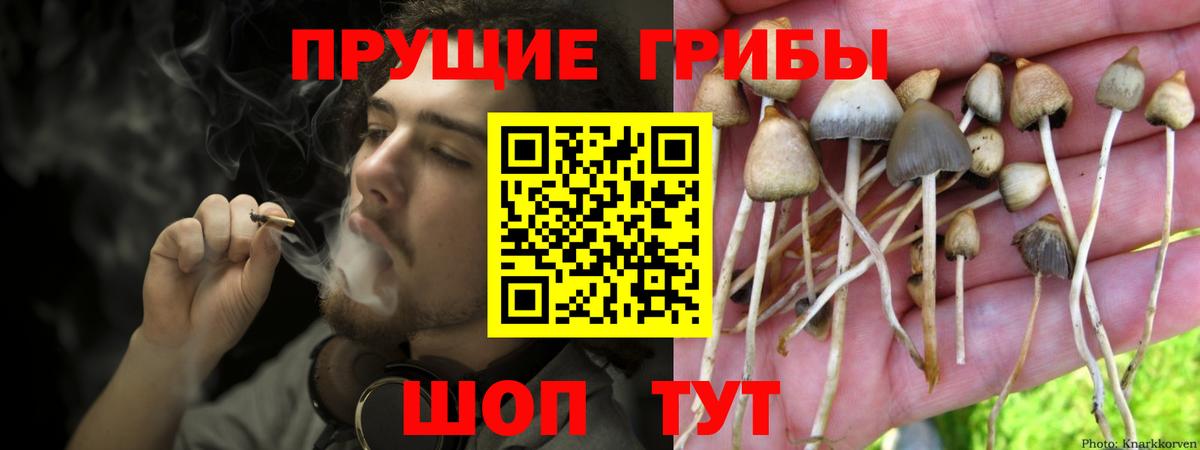 Каннабис Баксан